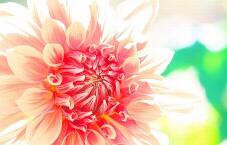 181224_2.jpg  : 72 KB