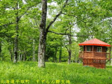 181331_1.jpg  : 133 KB