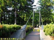 181419_1.jpg  : 117 KB