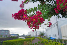 181494_1.jpg  : 142 KB