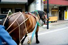 181525_10.jpg  : 61 KB