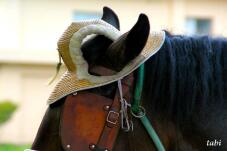 181525_5.jpg  : 42 KB