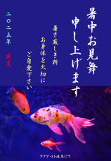 181536_1.jpg  : 60 KB