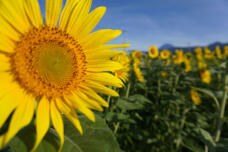 181561_1.jpg  : 122 KB