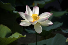 181562_1.jpg  : 72 KB