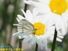 181570_2.jpg  : 31 KB
