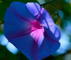 181575_2.jpg  : 52 KB