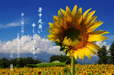 181607_1.jpg  : 420 KB
