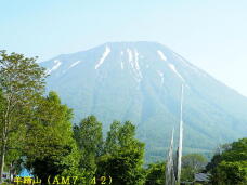 181613_2.jpg  : 63 KB