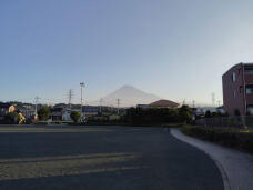 181633_1.jpg  : 115 KB