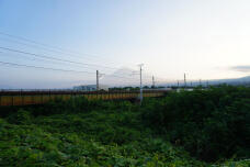 181641_1.jpg  : 157 KB