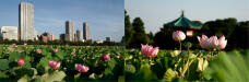 181643_1.jpg  : 324 KB
