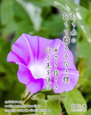 181647_1.jpg  : 214 KB