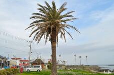 181649_6.jpg  : 71 KB