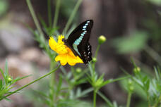 181674_1.jpg  : 99 KB