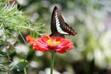 181674_3.jpg  : 118 KB