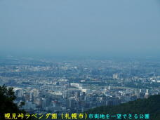 181685_1.jpg  : 44 KB