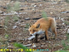 181685_3.jpg  : 75 KB