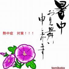 181691_2.jpg  : 77 KB
