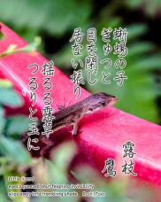 181749_1.jpg  : 225 KB