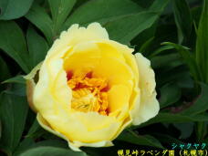 181756_1.jpg  : 38 KB