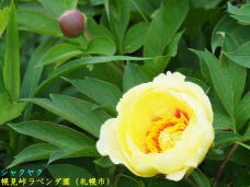 181756_3.jpg  : 47 KB