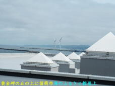 181789_2.jpg  : 27 KB
