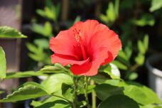 181807_2.jpg  : 96 KB