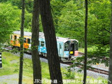 181822_3.jpg  : 106 KB