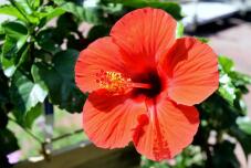 181825_3.jpg  : 72 KB