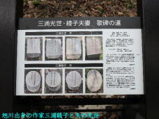 181837_1.jpg  : 66 KB