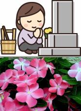 181839_2.jpg  : 142 KB