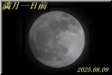 181844_1.jpg  : 27 KB