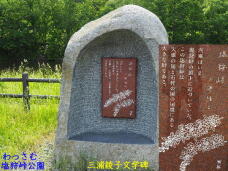 181881_1.jpg  : 108 KB