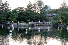 181905_1.jpg  : 183 KB