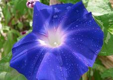 181915_3.jpg  : 92 KB