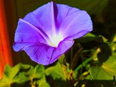 181919_1.jpg  : 120 KB