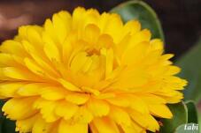 181993_10.jpg  : 25 KB