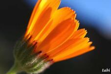 181993_9.jpg  : 23 KB