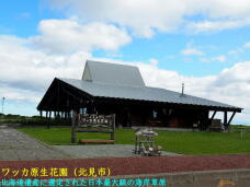 181994_1.jpg  : 51 KB