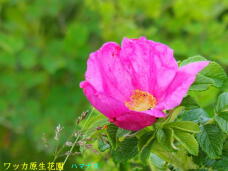 182010_1.jpg  : 46 KB