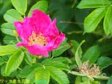 182010_3.jpg  : 59 KB