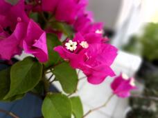 182033_1.jpg  : 76 KB