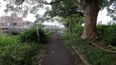 182059_1.jpg  : 230 KB