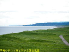 182073_2.jpg  : 37 KB