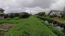 182076_1.jpg  : 191 KB