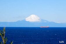 182079_10.jpg  : 33 KB