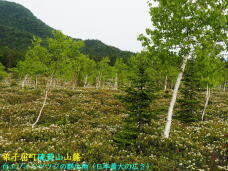 182099_3.jpg  : 114 KB
