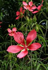 182370_1.jpg  : 141 KB