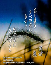 182380_1.jpg  : 209 KB